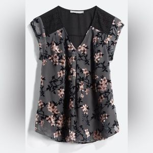 Daniel Rainn Grata Velvet Burnout Blouse - S